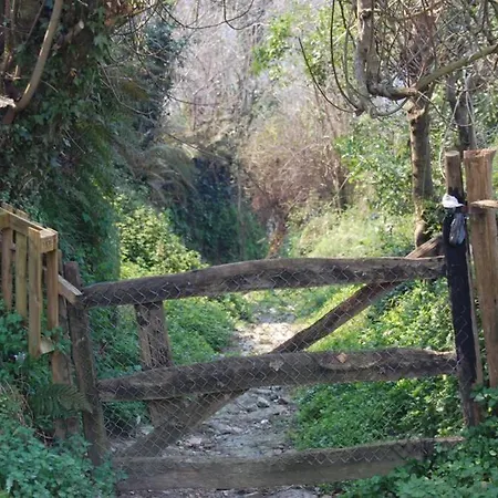 펜션 Gestiona2R - Casa Rural En Amieva - Vistas A Picos Pen